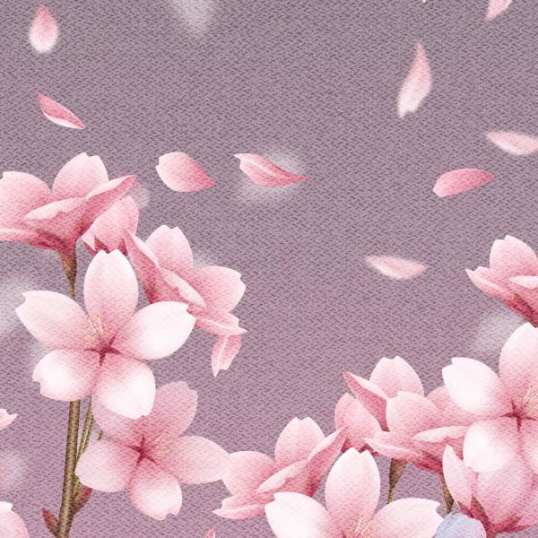 VORBESTELLUNG Kirschblüten grau