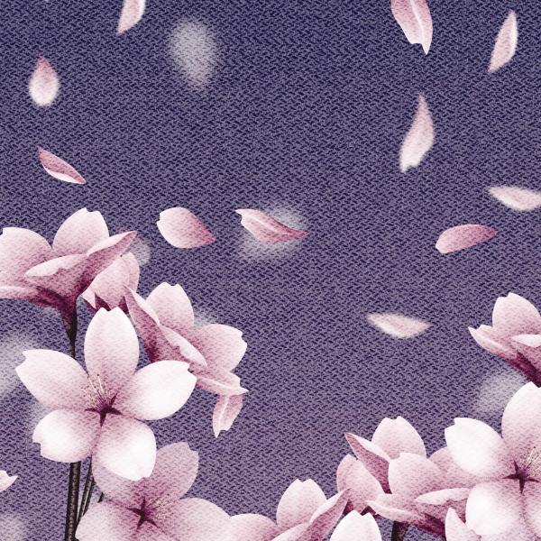 VORBESTELLUNG Kirschblüten blau violett